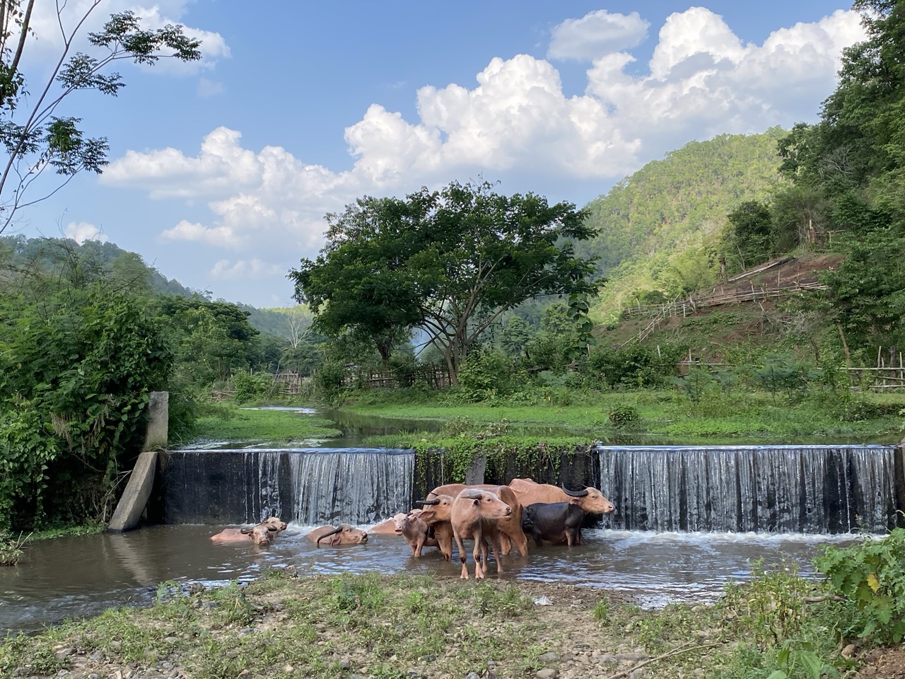 Muang Khong to San Pak Khia