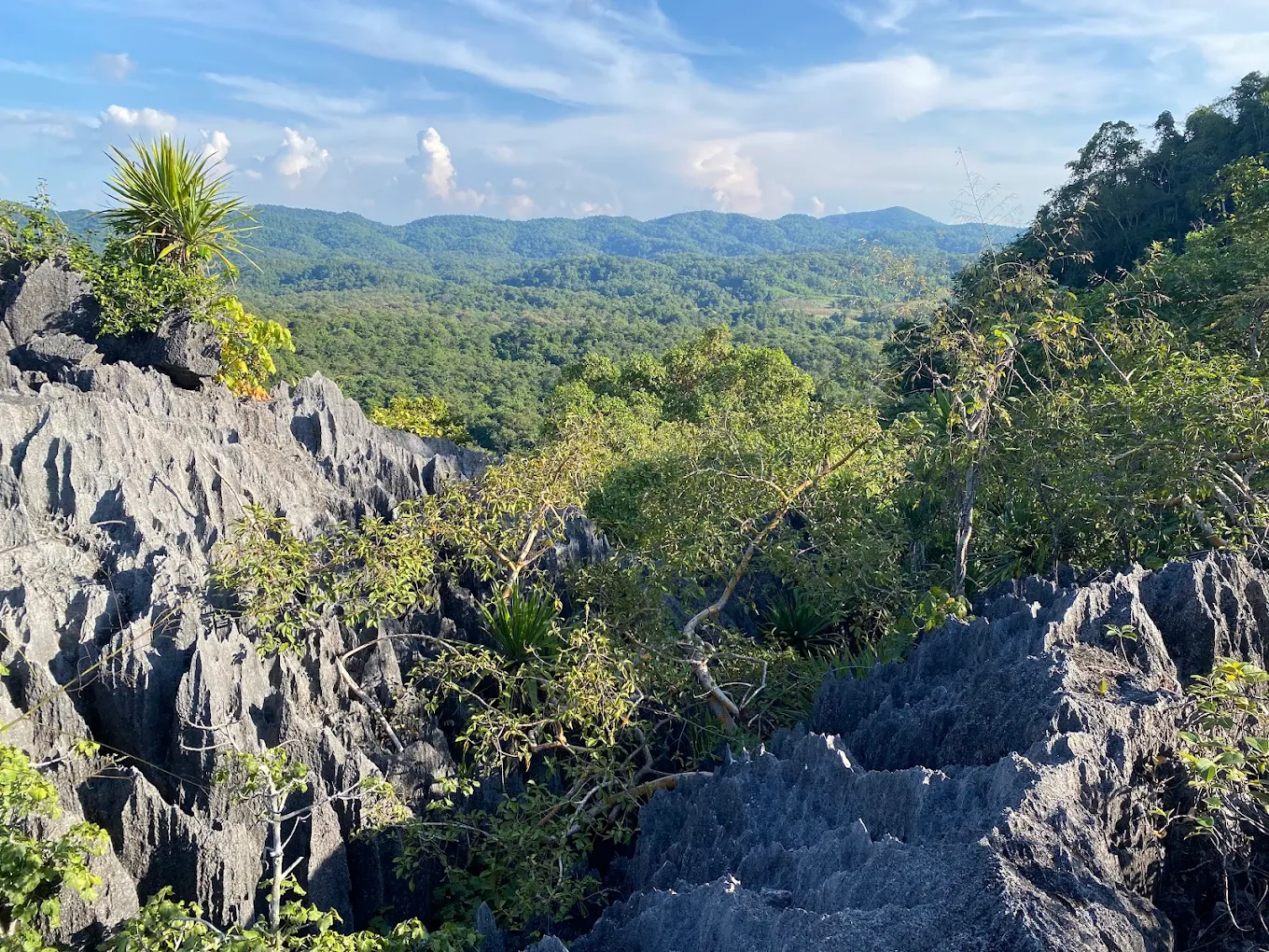 Doi Pha Klong Forest Park