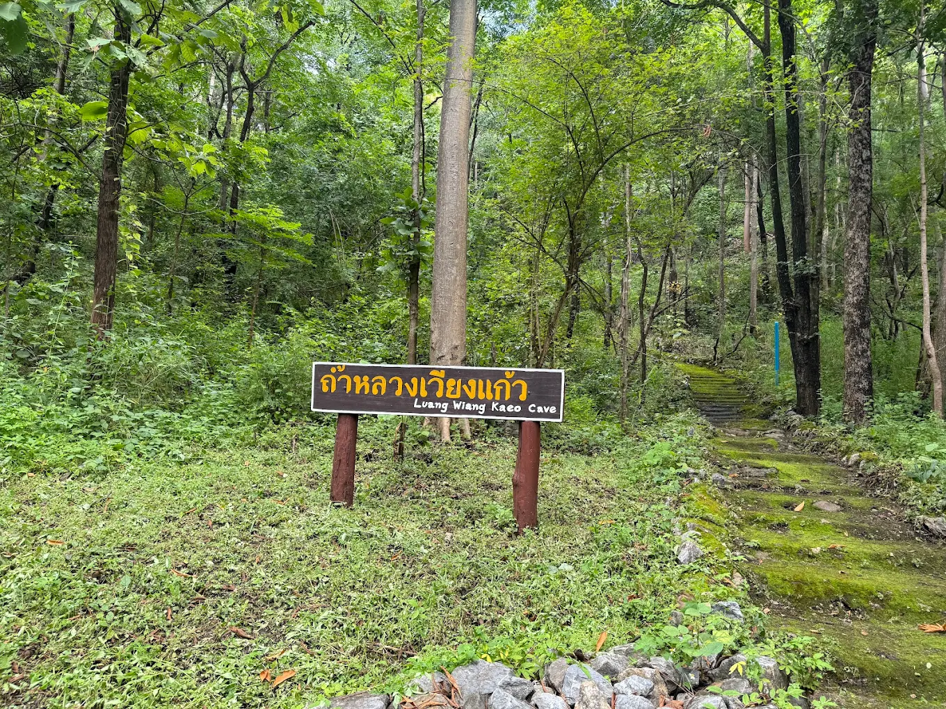 Doi Wiang Kaeo Forest Park