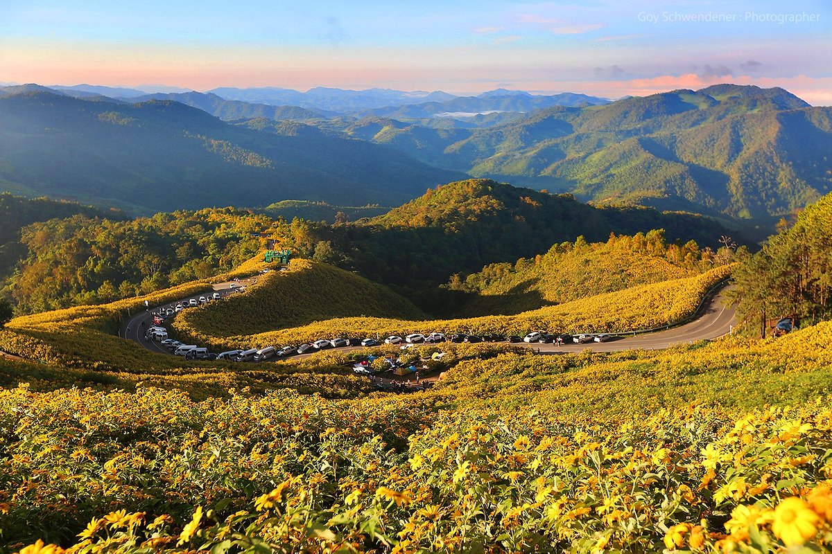 Thung Bua Tong Forest Park