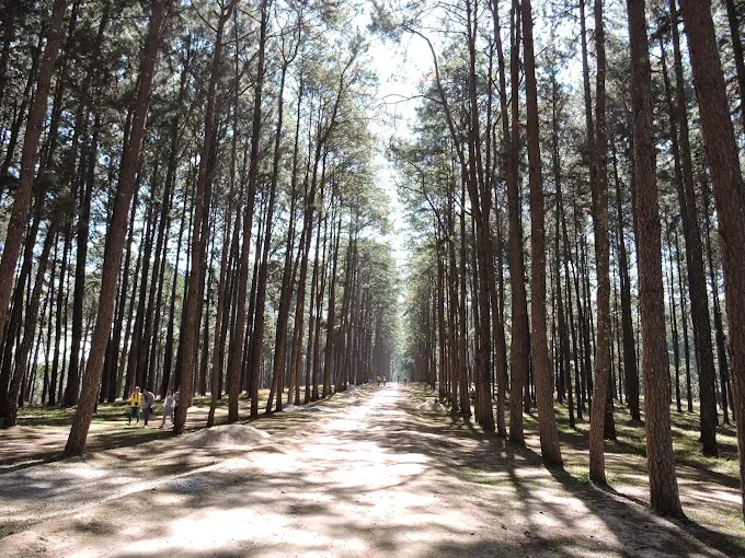 Omkoi Wildlife Sanctuary