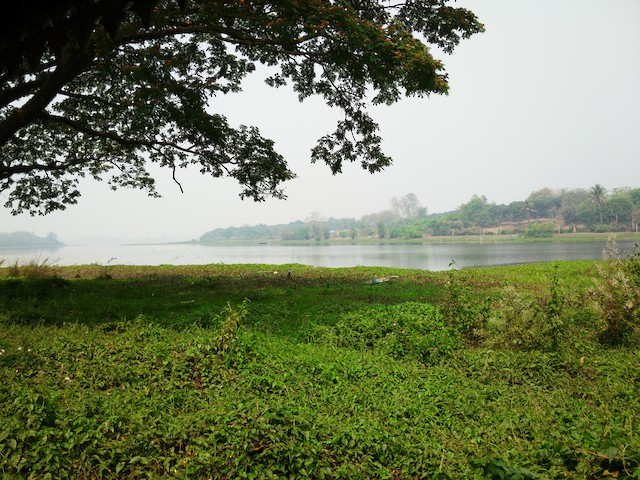 Nong Bong Kai Wetland Reserve
