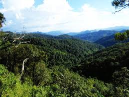 San Pan Daeng Forest Park