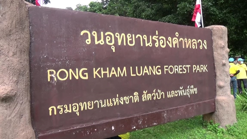 Rong Kham Luang Forest Park