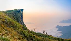 Phu Chi Fa Forest Park