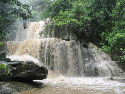 Huai Tad Thong Forest Park